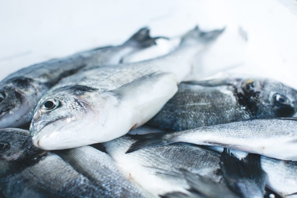 Des poissons sur un étal avec de la glace